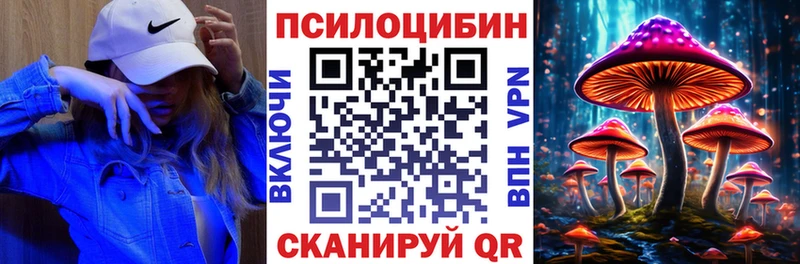 мега как зайти  Сухой Лог  Псилоцибиновые грибы MAGIC MUSHROOMS 